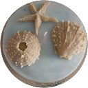 coralie contesenne profile picture